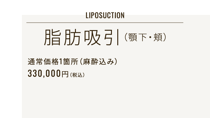LIPOSUCTION 脂肪吸引（顎下・頬） 通常価格1箇所（麻酔込み）330,000円（税込）