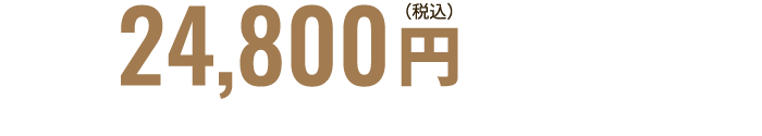 24,800円（税込）