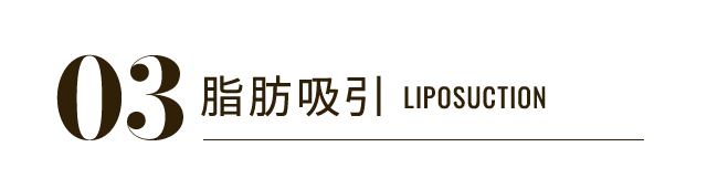 03 脂肪吸引 LIPOSUCTION