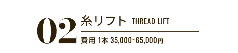 02 糸リフト THREAD LIFT 費用 1本 35,000〜65,000円