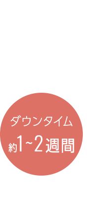 ダウンタイム：約1〜2週間