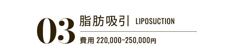 03 脂肪吸引 LIPOSUCTION 費用 220,000〜250,000円