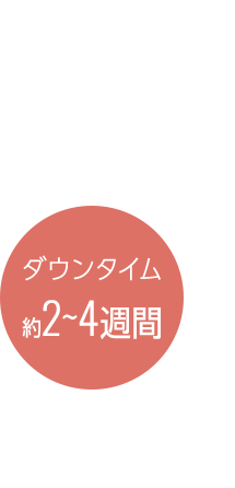 ダウンタイム：約2〜4週間