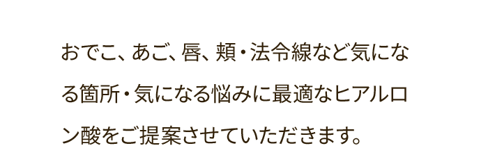 おでこ、あご、唇、頬・法令線など気になる箇所・気になる悩みに最適なヒアルロン酸をご提案させていただきます。
