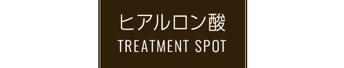 ヒアルロン酸 Treatment SPOT