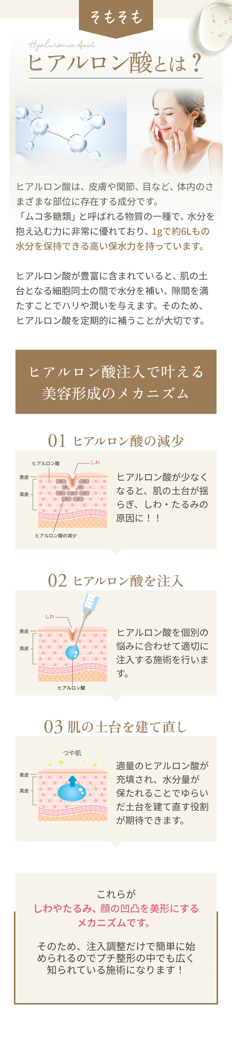 そもそもヒアルロン酸とは？ヒアルロン酸とは、ムコ多糖と呼ばれる「粘性分泌液」の一種です。