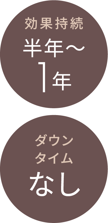 効果持続 半年〜1年 ダウンタイムなし