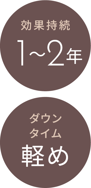 効果持続 1年〜2年 ダウンタイム軽め class=